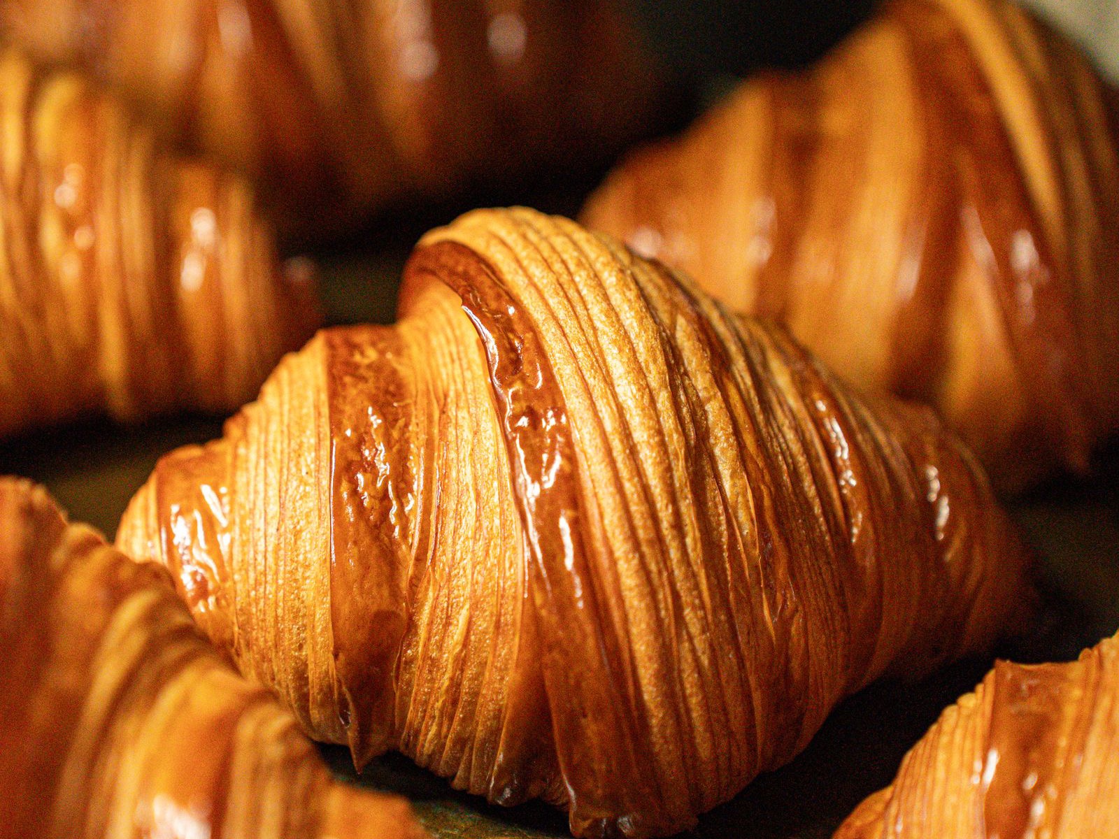 Golden butter croissants in a close row, their layers showing